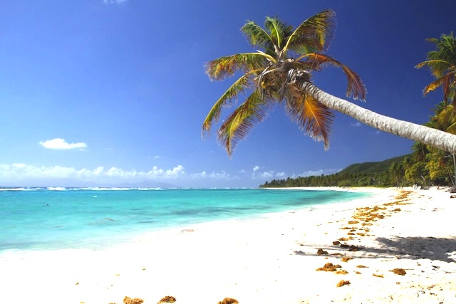 PLAGE DE LA FEUILLERE CAPESTERRE